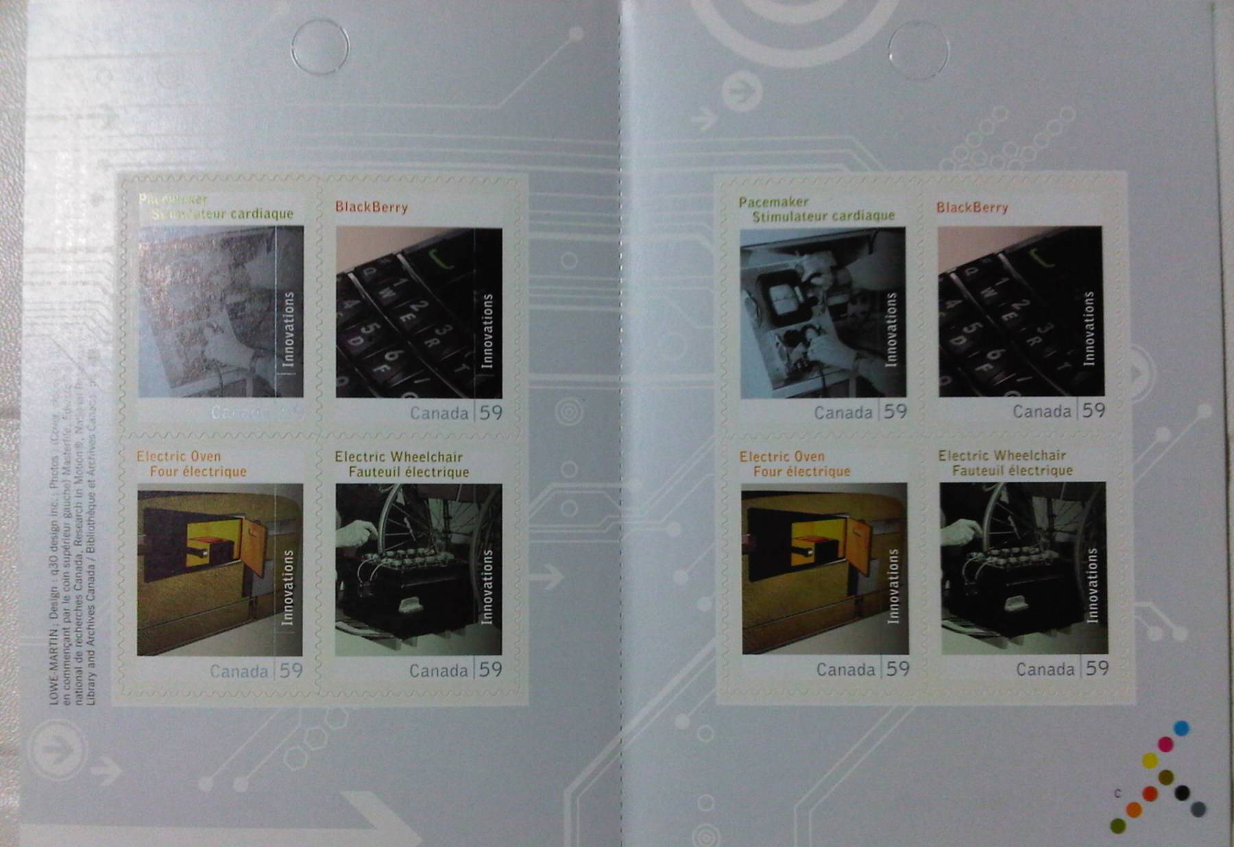 黑莓的一生,黑莓的一生简介