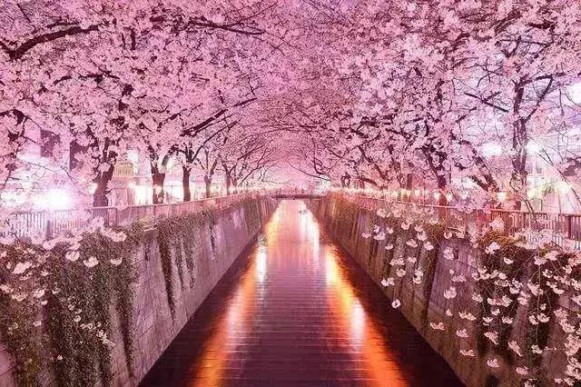 日本物流公司的运作流程,日本韵达