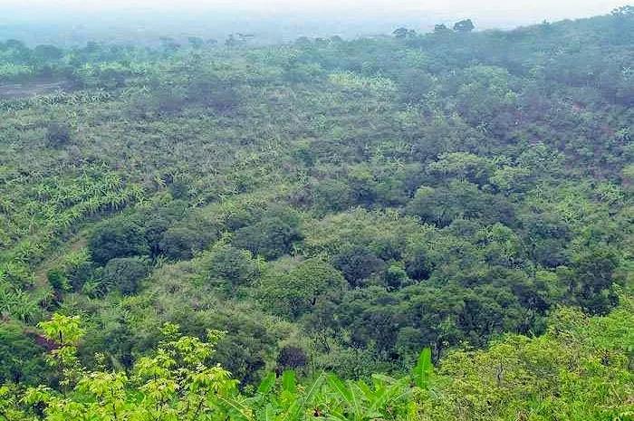 海南前十名的山岭,海南岛哪个市县风景最好