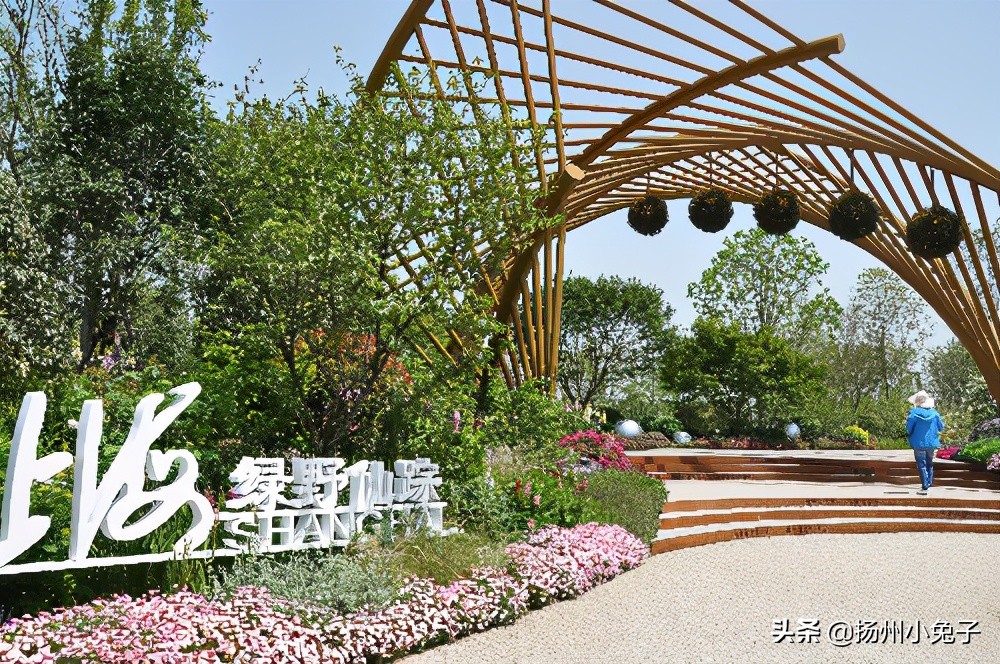 魔都和帝都哪个好,魔都和帝都分别是哪个城市