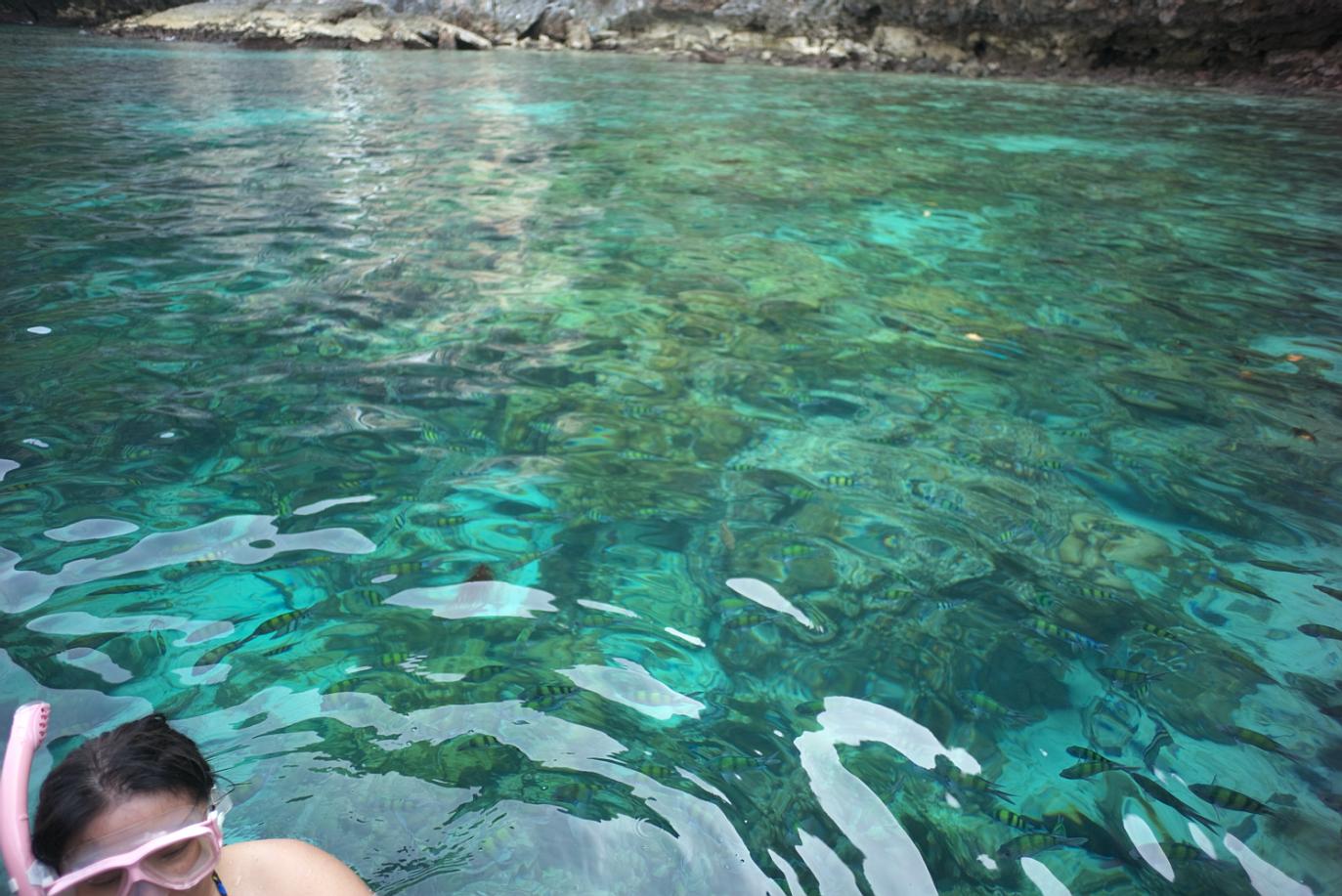 泰国普吉岛斯米兰岛旅游攻略,泰国旅游普吉岛的夏天皮皮岛浮潜