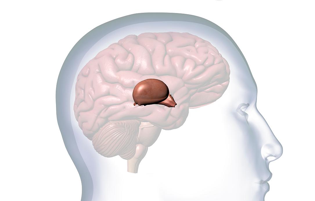 松果体瘤手术后视力下降能恢复吗,松果体囊肿影响的视力能恢复吗