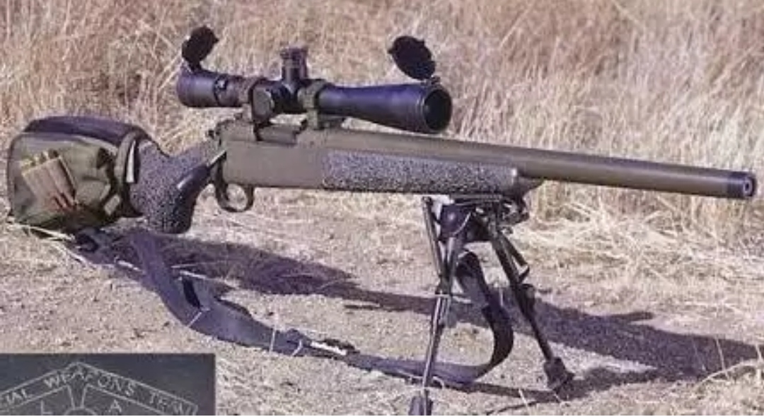 美国1983年的枪械大全,19世纪美国枪械史五