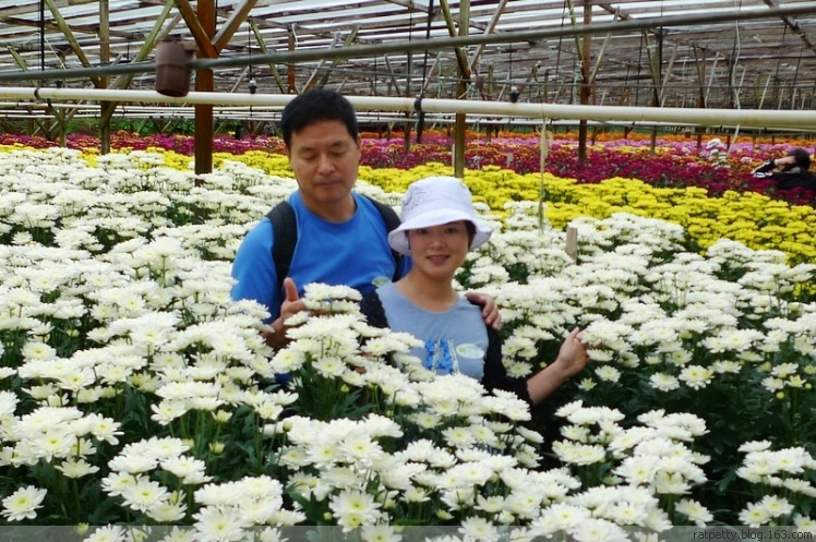 马来西亚办农庄,马来西亚农家小院