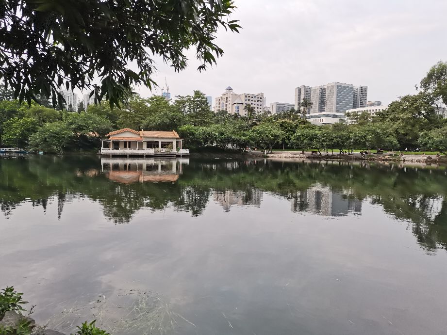 荔枝公园深圳,深圳第一公园荔枝公园