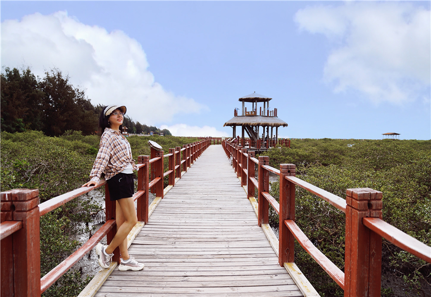 广西性价比好的海边城市,广西海边宜居的有哪些城市