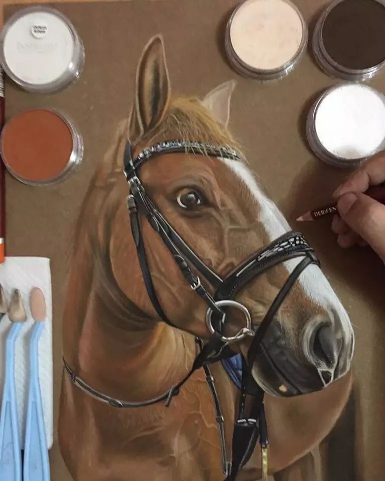 3d超写实彩铅画,超写实彩铅手绘细腻的让人咋舌