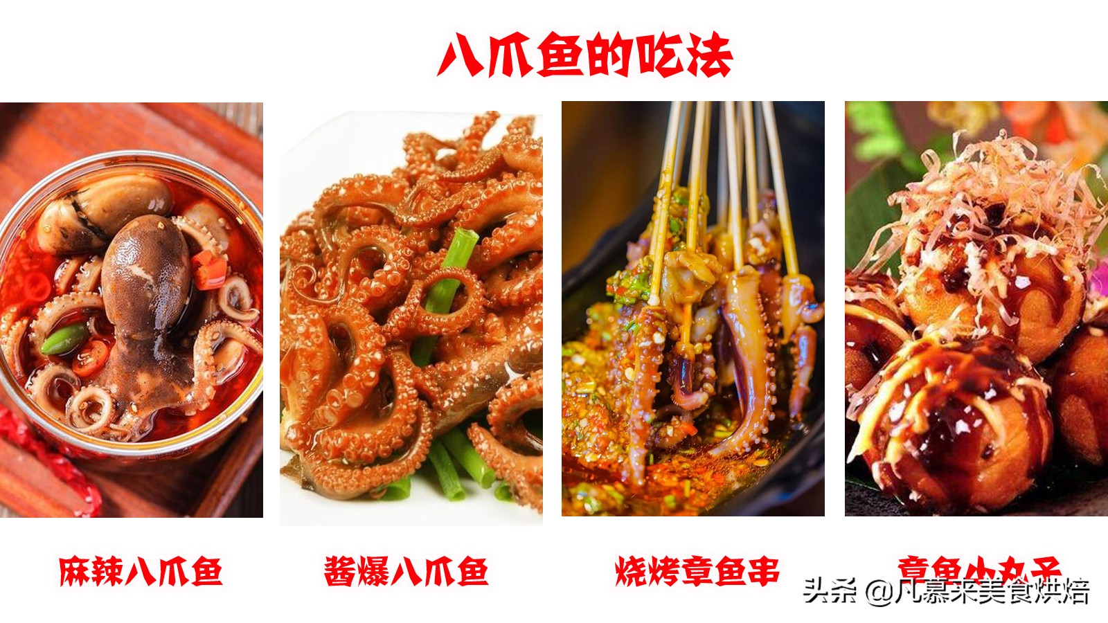 海兔八爪鱼墨鱼鱿鱼的区别,鱿鱼海兔八爪鱼三者之间区别