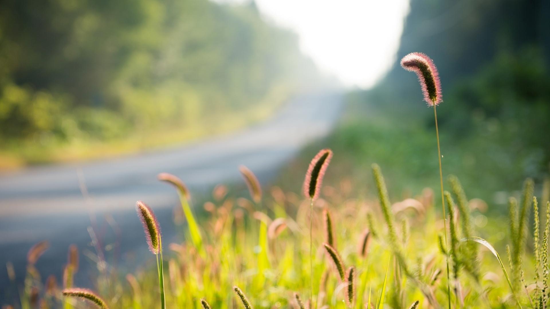 恐龙可爱还是企鹅可爱,动画呆萌恐龙图片可爱