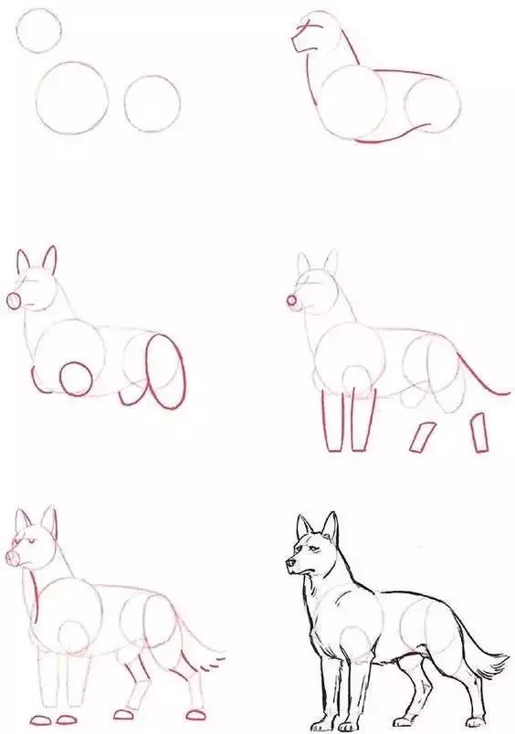 1-10数字动物简笔画图片大全,简笔画小动物100种可爱海底动物