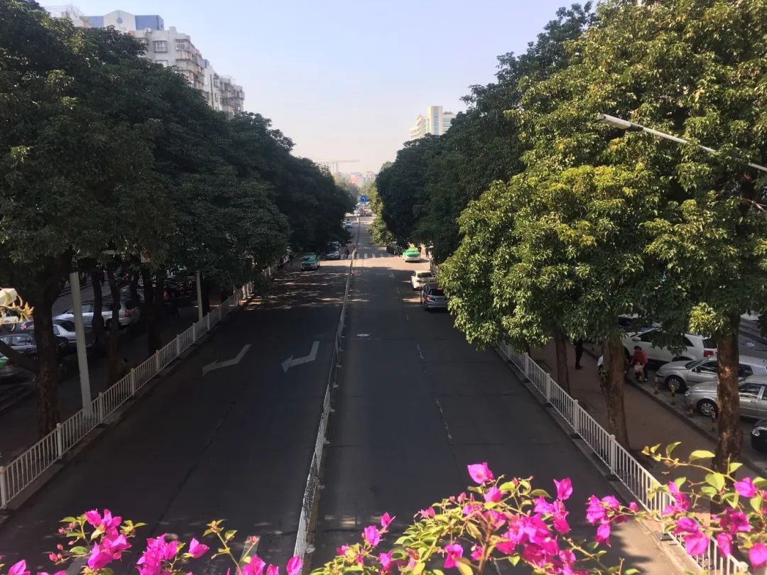 深圳随团港澳游五天四晚,深圳家庭港澳游六天五晚