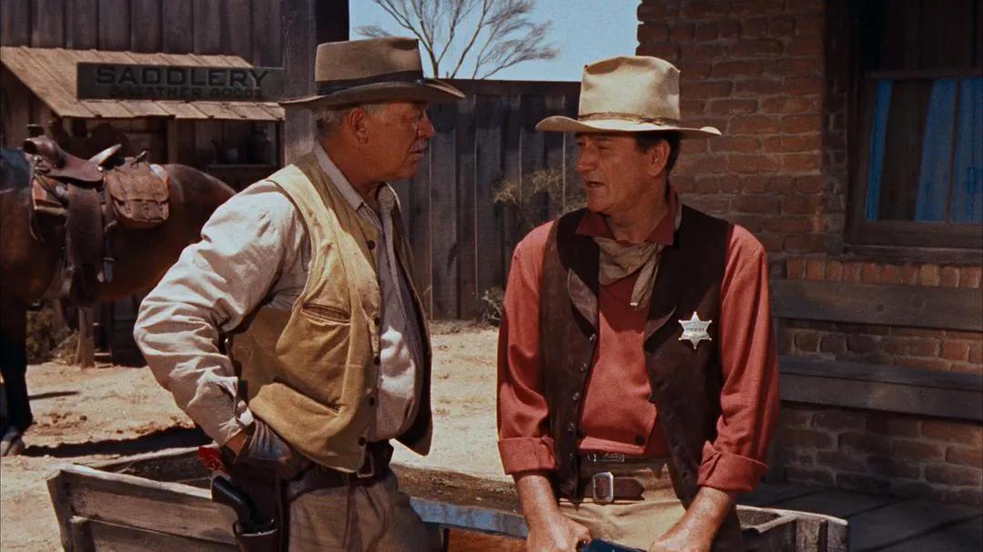 雄性荷尔蒙枪战电影,美国最火爆的十大枪战电影