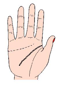 手相解密,手相掌纹分析学