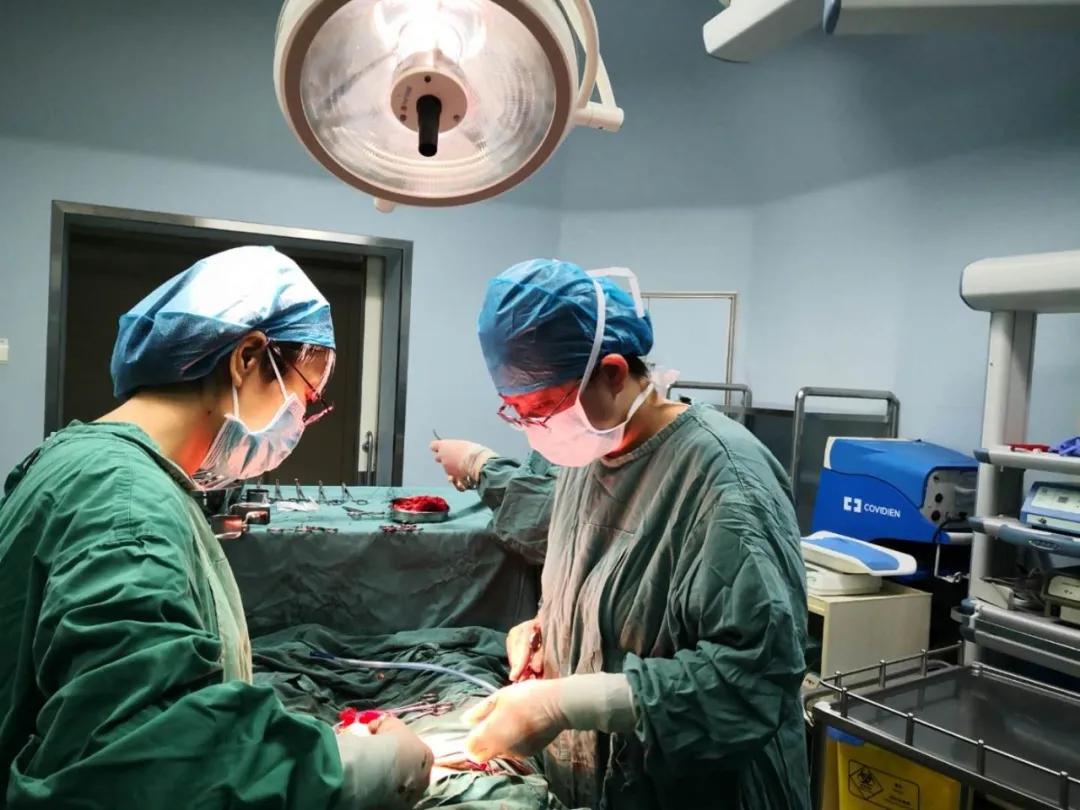 十堰最近发生的事件,十堰发生了什么事