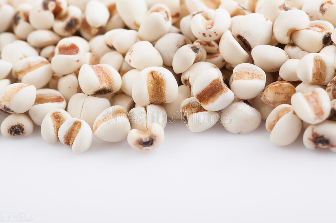 薏苡仁养生每日用量,每日认识一味中药薏苡仁