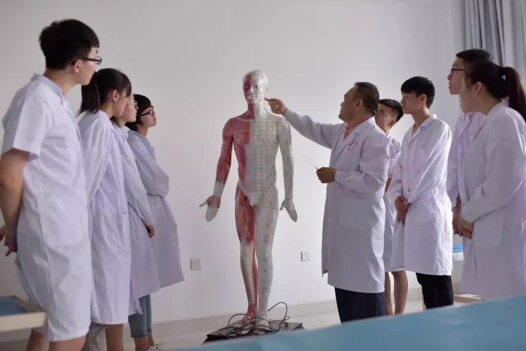 中医康复技术专科怎么样,中医保健康复技术专业