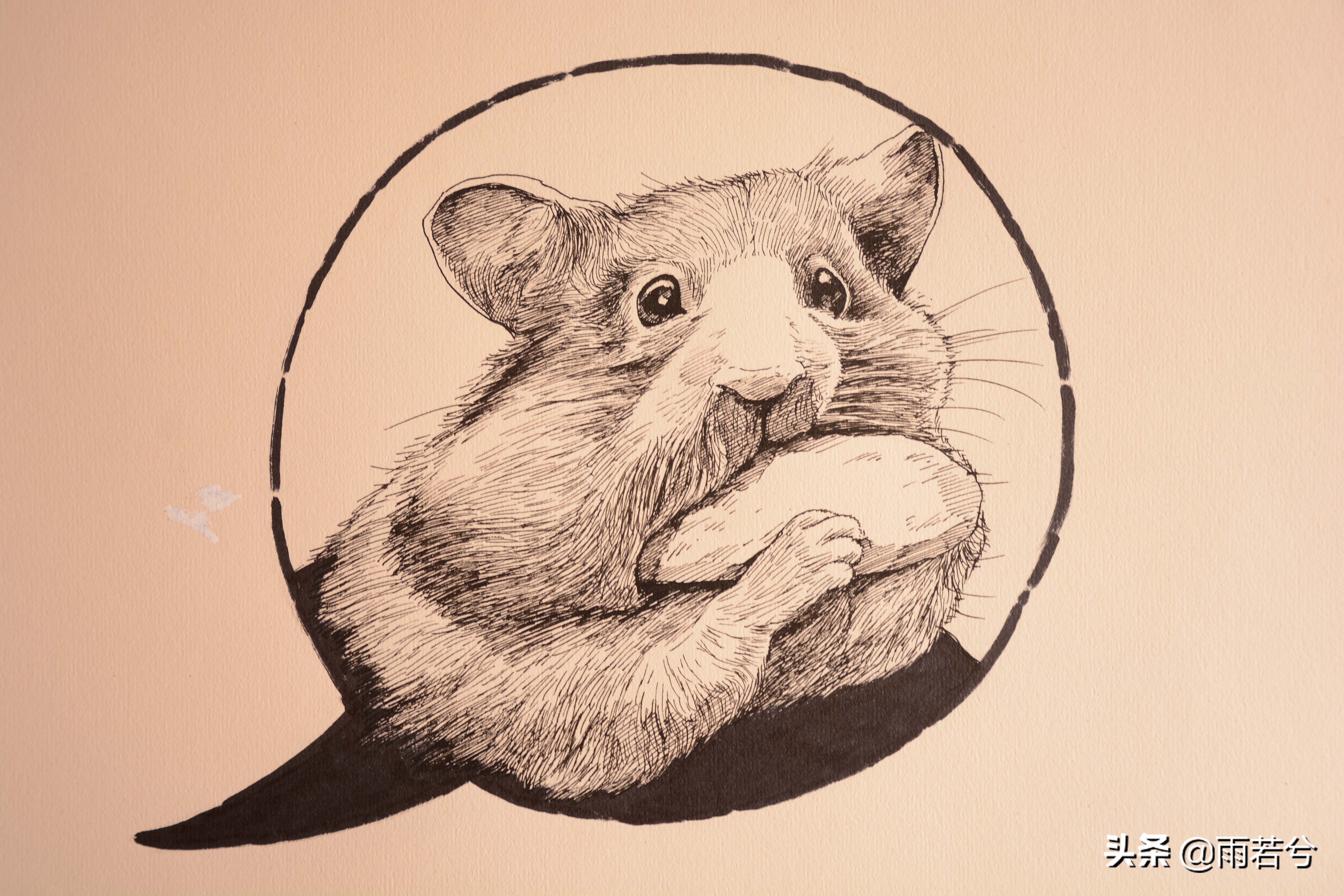 十二生肖的传说故事有哪些,十二生肖的传说故事完整图片