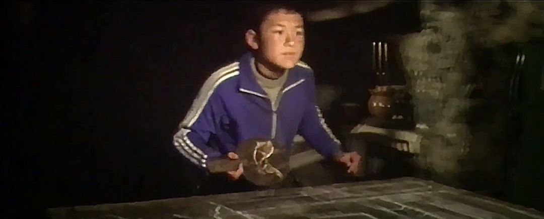 地球最后的夜晚值得看吗,地球最后的夜晚电影深度解析