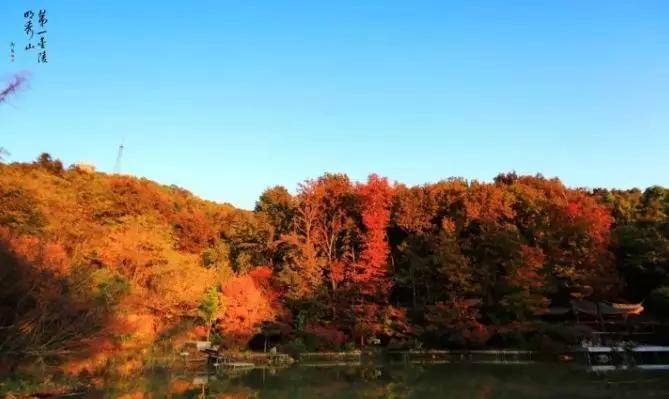 南京枫叶栖霞山什么时候看好看,南京栖霞山几月最红