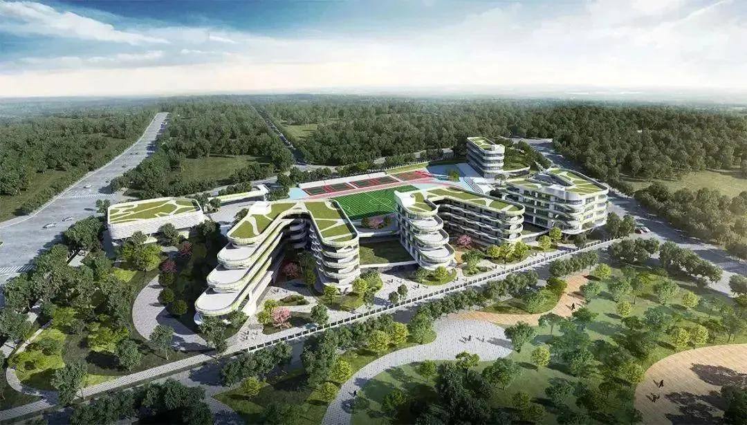 南开中学、南渝中学、树人小学、沙坪坝小学……这些名校扎堆了