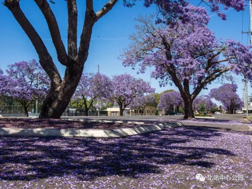 深圳建最大足球场,深圳足球公园效果图