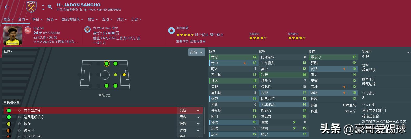 fm足球经理阵型,fm足球经理名单