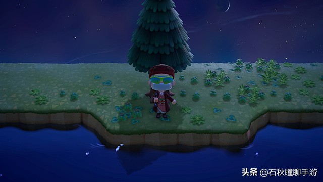 动物之森新手攻略,动物之森100个小技巧