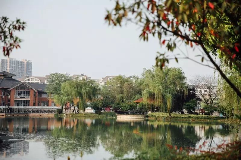武汉住得最舒服的小区,武汉常青花园哪个小区最热闹