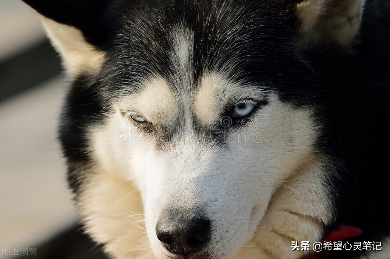 你最无助的时候是什么时刻,人最无助的时候怎么办