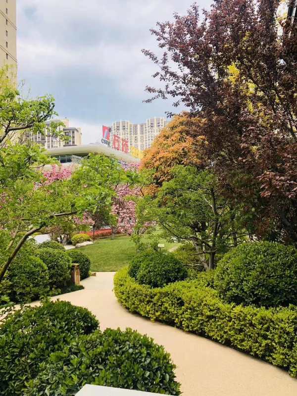 养马岛石药健康城,牟平养马岛石药健康城