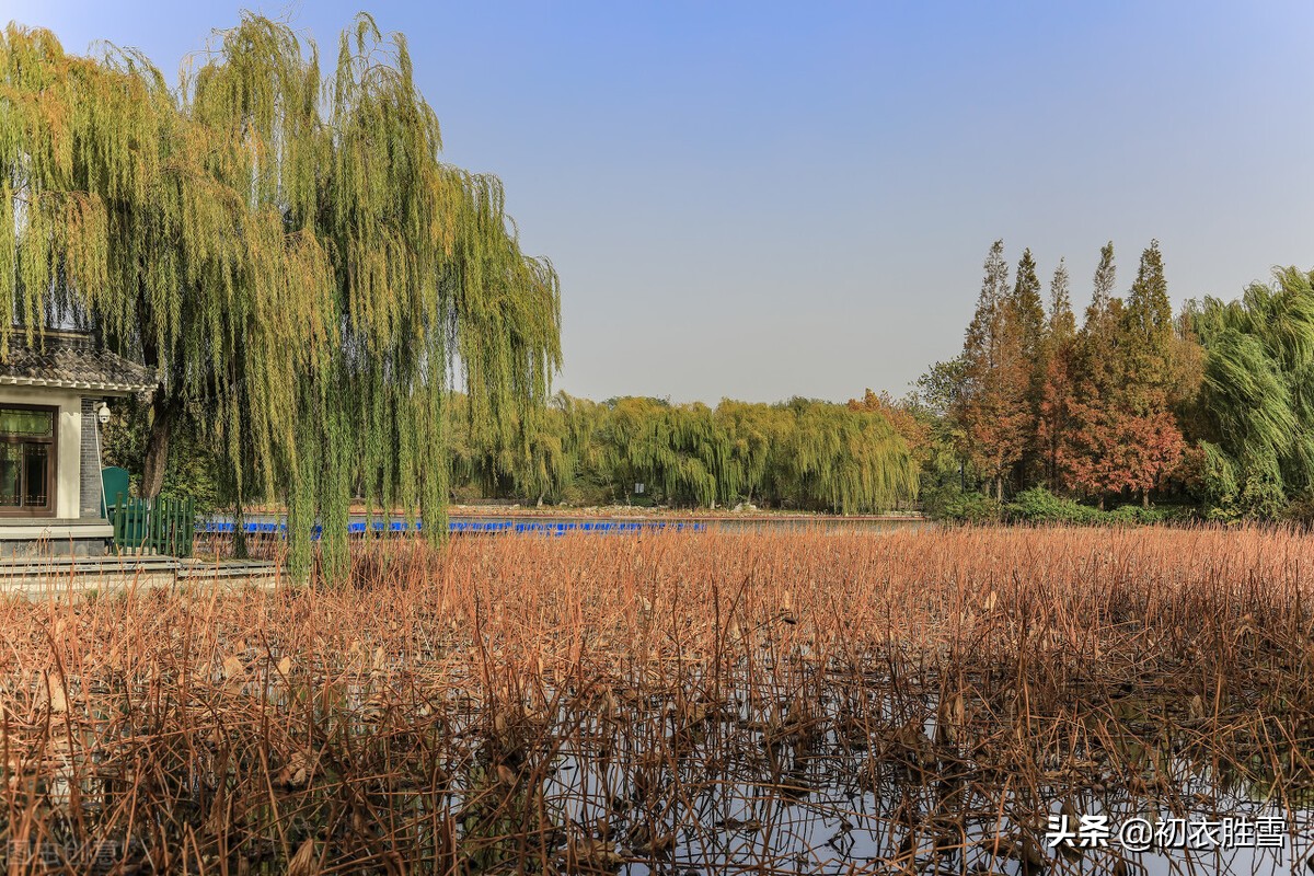 纳兰性德的绝情诗,纳兰性德悲秋诗