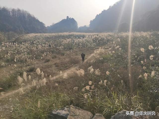 探秘荒废的城堡,探秘废弃堡垒