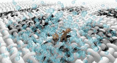 小白鞋休闲时尚大牌,时尚百搭单品莫过于小白鞋