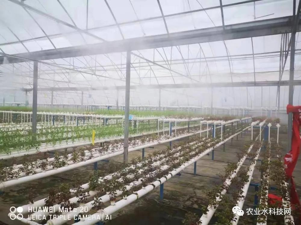 「水科技」高压雾化系统可以应用在哪些领域？