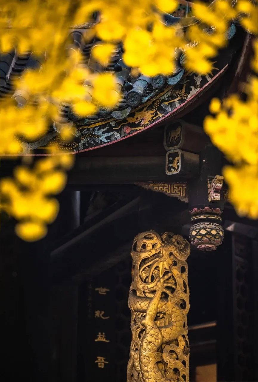 因为一首歌而爆火的城市,靠着一首歌走红的人