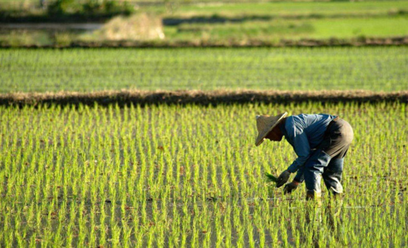 失地农民就业困难的原因,街道失地农民再就业工作