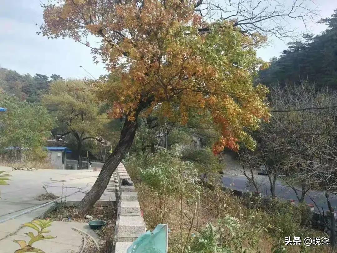 大连庄河矿山评估,大连庄河最新消息今天