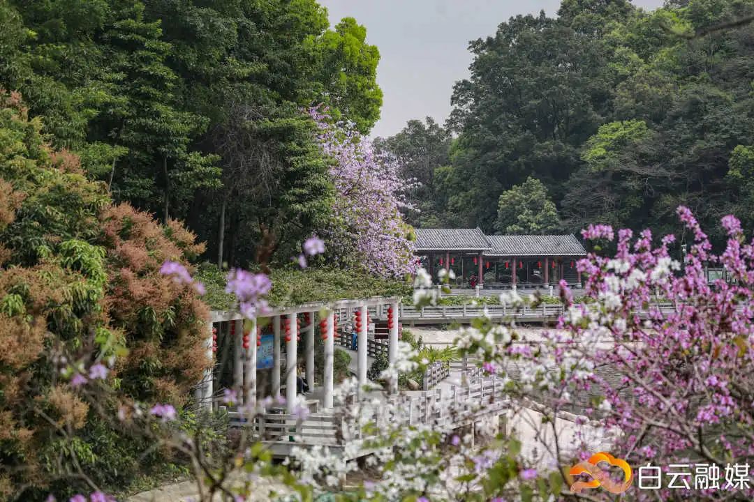 走一起去看美丽的风景,走一起去看美好的风景