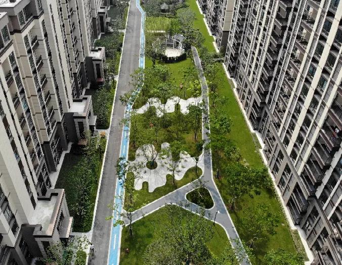 大局已定完整版视频,大局已定静待时机