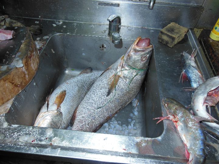 海员实习期有6000工资是不是真的,海员工资为什么不全额发放