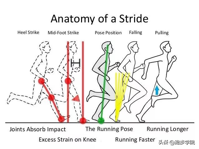跑步黑指甲脱落会再生吗,跑步灰指甲脱落了