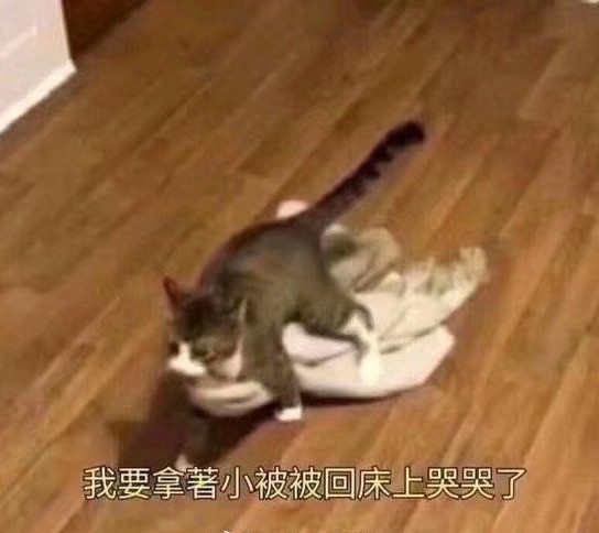 HiFi烧友假期在家被嫌弃的全程自述（家长慎点）