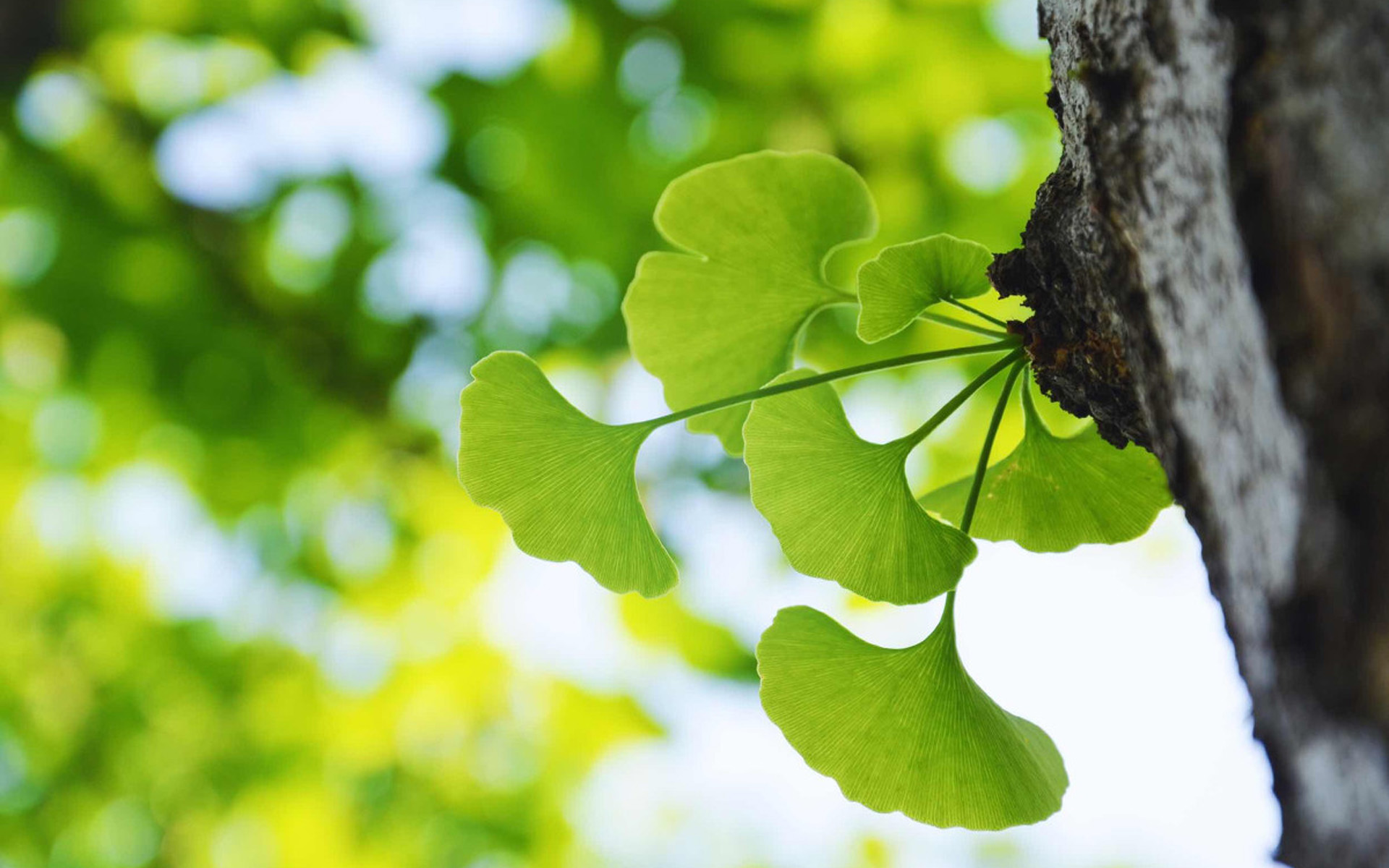 学校课程评价的18种创意