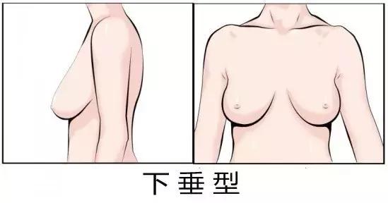 胸大怎么穿搭不显臃肿,胸高的女人怎么穿才好看