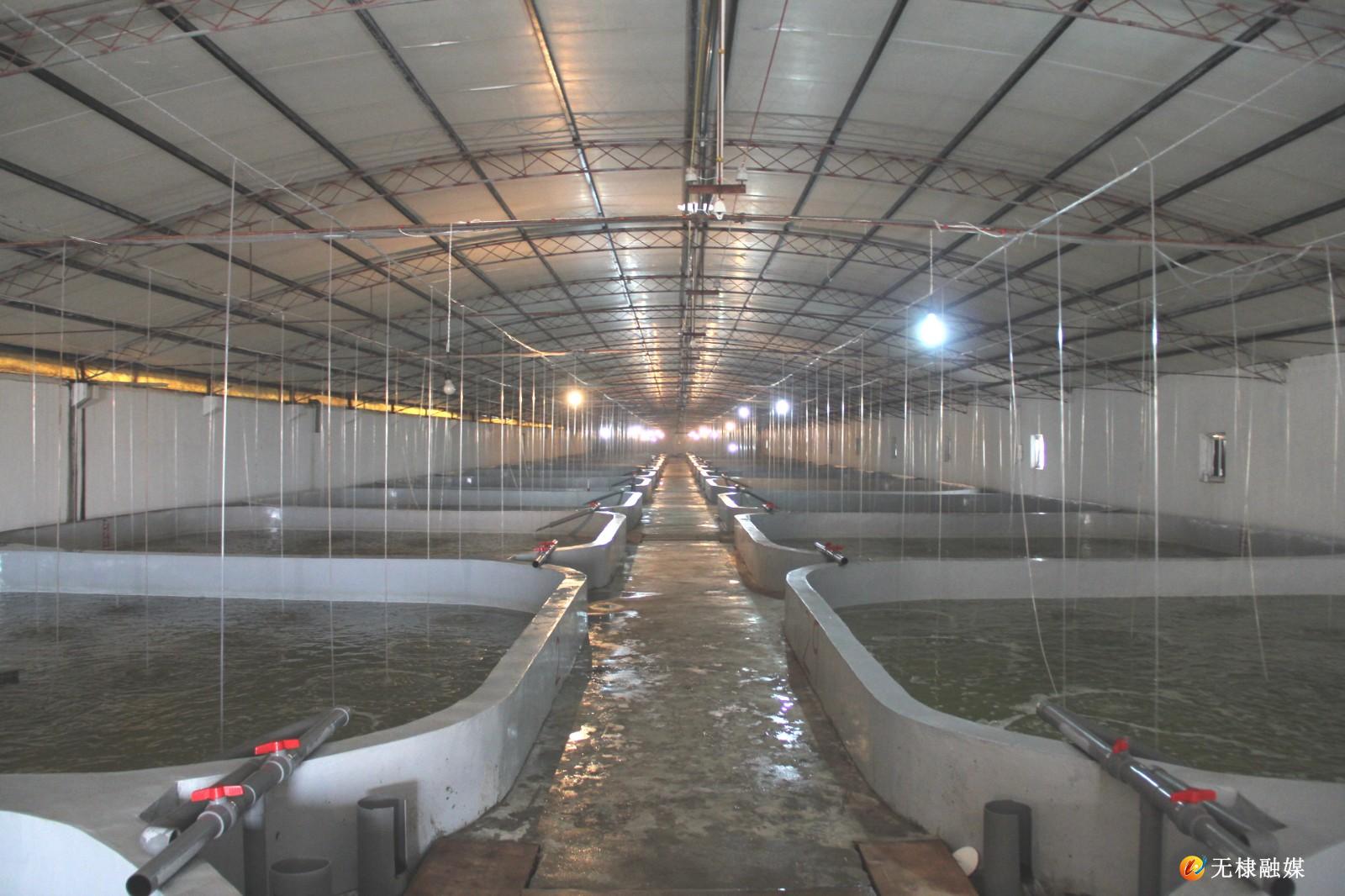 西海岸海洋经济发展,山东省海洋经济高质量发展