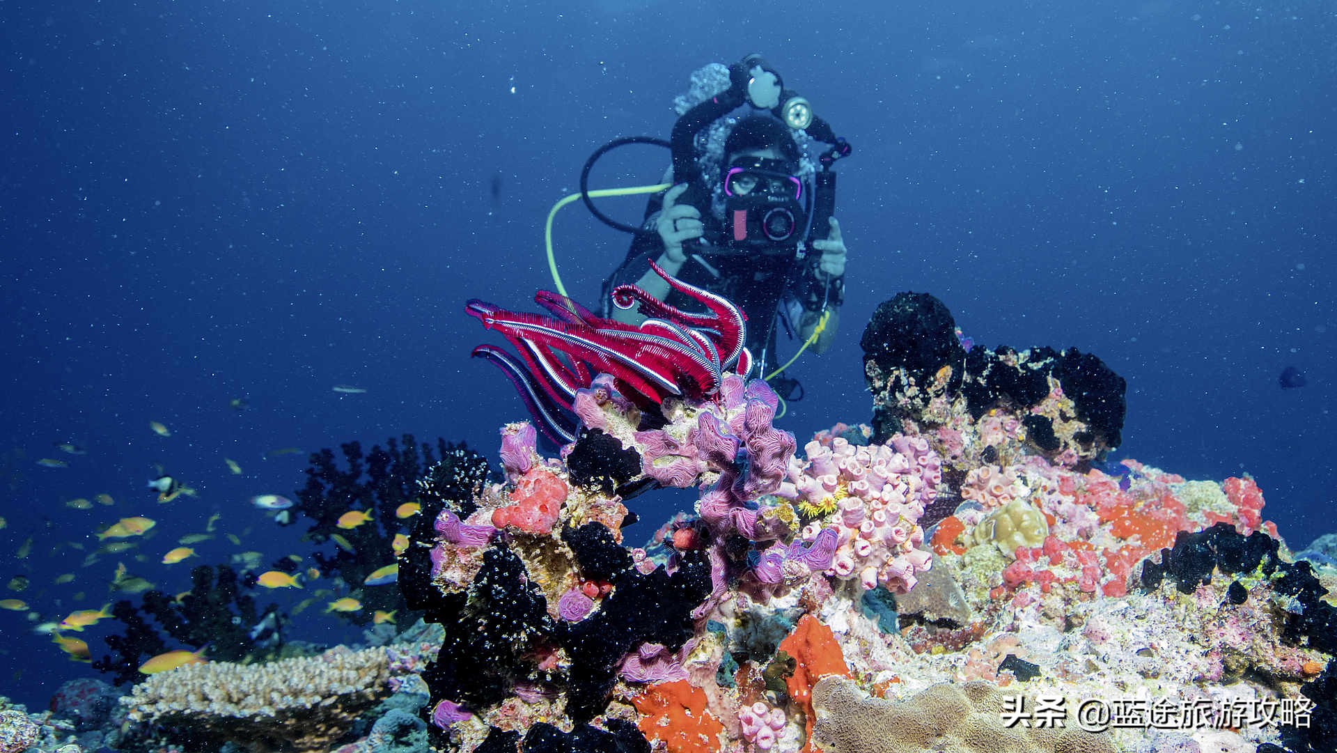 马尔代夫性价比高的五星岛,马尔代夫五星级岛屿推荐