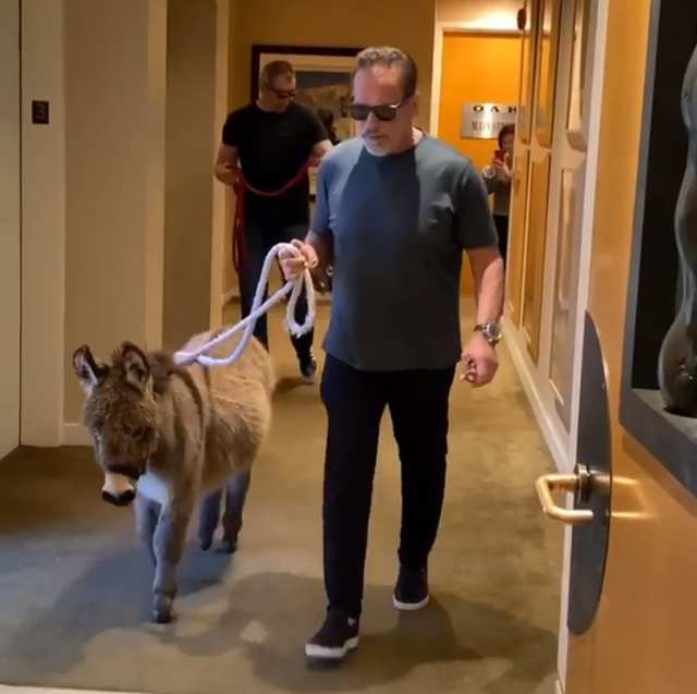 娆х編鏄庢槦鎶楀嚮鐤儏,鍚庤鐢峰闅旂┖閲嶈仛