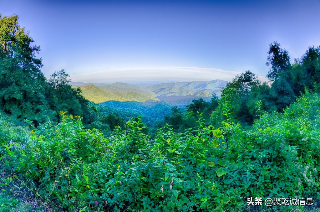 描写夏天的名句有哪些,描写夏天的古诗名句