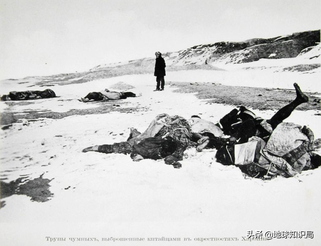 1905年东北鼠疫是如何控制的,熟悉1910年的东北鼠疫事件