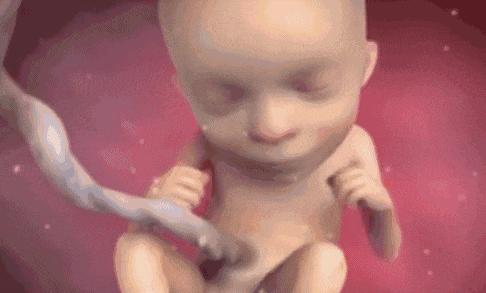 7个月孕妇产检,7个月以后孕妇产检